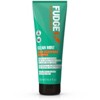 Clean Mint Purifying Shampoo, 250ml, Fudge