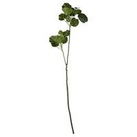 Flora begonia H110 cm, Lene Bjerre
