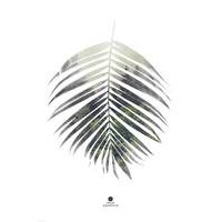 Juliste Palm leaf