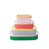 Rice, Plastic Rectangular Food Boxes in ´Let´s Summer´ Colors 4 pcs