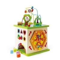 HAPE Activity Cube