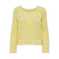 Crochet pullover, Only