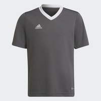 Entrada 22 Jersey, adidas