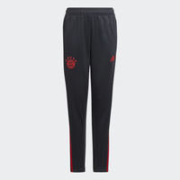 FC Bayern Condivo 22 Training Pants, adidas