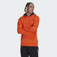 Terrex Logo Graphic Hoodie, adidas