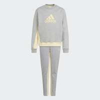 Badge of Sport Cotton Track Suit, adidas