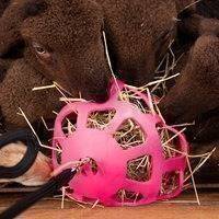 Soft Hay Ball Slowfeeder - pink, Holland Animal Care
