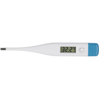 HG Digital thermometer Luonollinene ONE SIZE, Horse Guard
