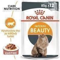 Royal Canin Intense Beauty Gravy, 12x85g