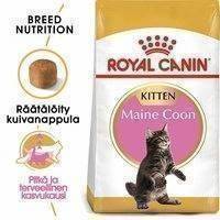 Royal Canin Maine Coon Kitten (400 g)