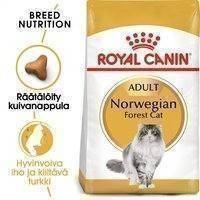 Royal Canin Norwegian Forest Cat (10 kg)