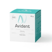 Avital Avident Oral jauhe (45 g)