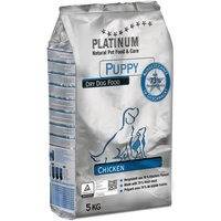 Platinum Puppy Kana, puolikostea (5 kg)