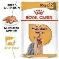 Royal Canin Yorkshire Wet 12 x 85 g