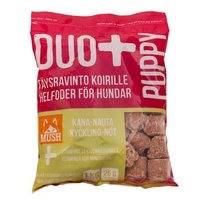 Mush Duo+ Puppy 1kg